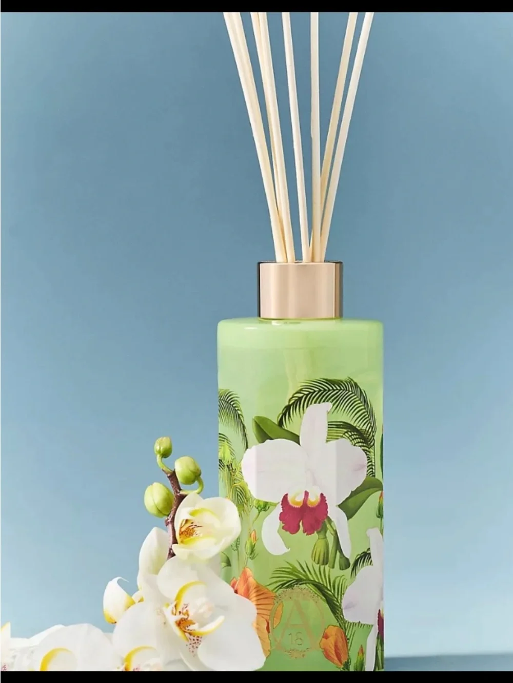 Anthropologie Orchid Amber Oil Diffuser — Green with White & Pink Floral